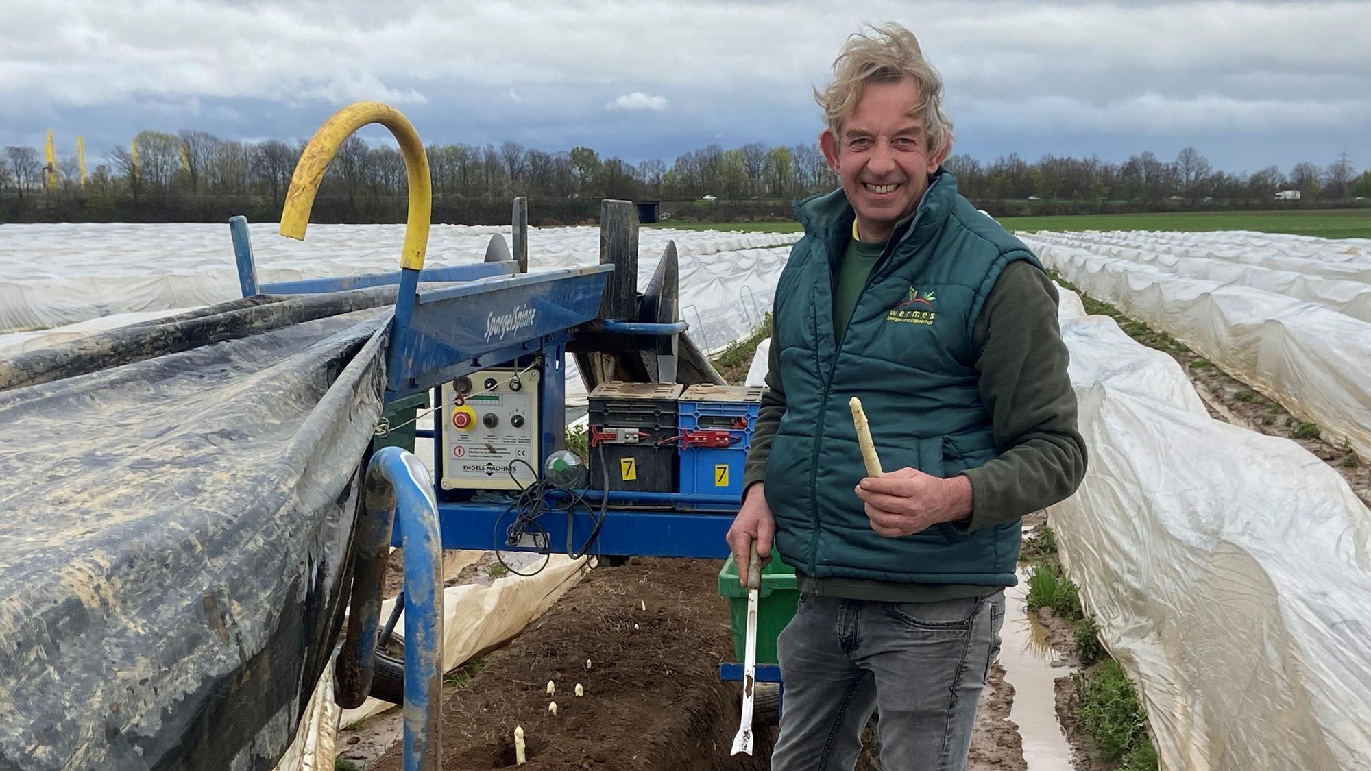Köln-Porz, Spargelernte
Auf dem mit Kühlwasser aus der nahen Biogasanlage beheizten Feld erntet Peter Wermes deutlich früher den ersten Spargel. Foto: Lampe