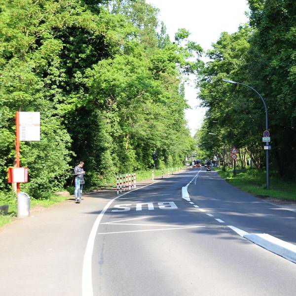 Blick auf den Abschnitt Zeisbuschweg zwischen einer Bushaltestelle und dem Verbindungsweg zur Straße Am Puffelskooche (im Bild rechts). Die Straße ist umsäumt von grünen Bäumen. Foto von Uwe Schäfer