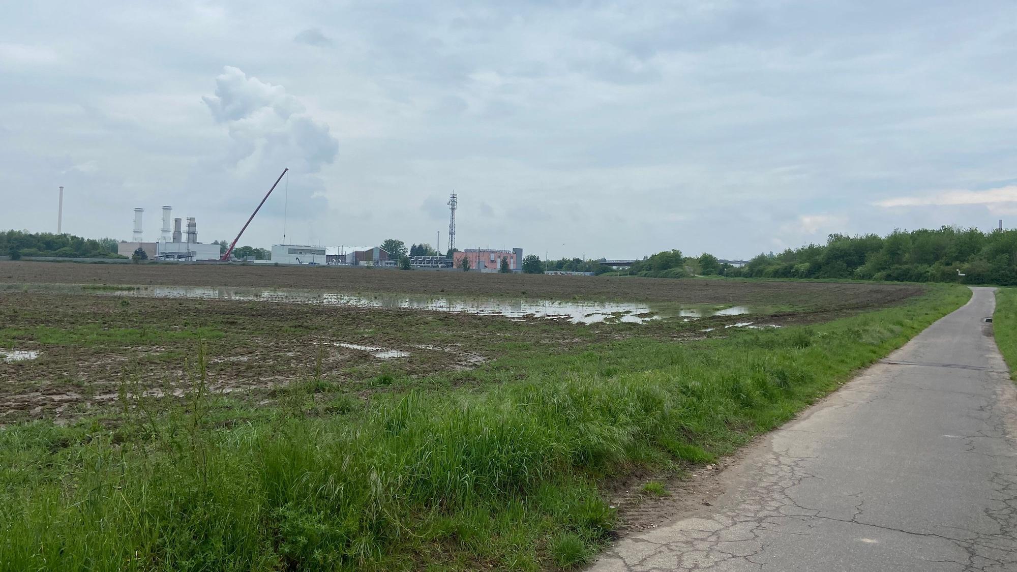 Überflutete landwirtschaftliche Fläche