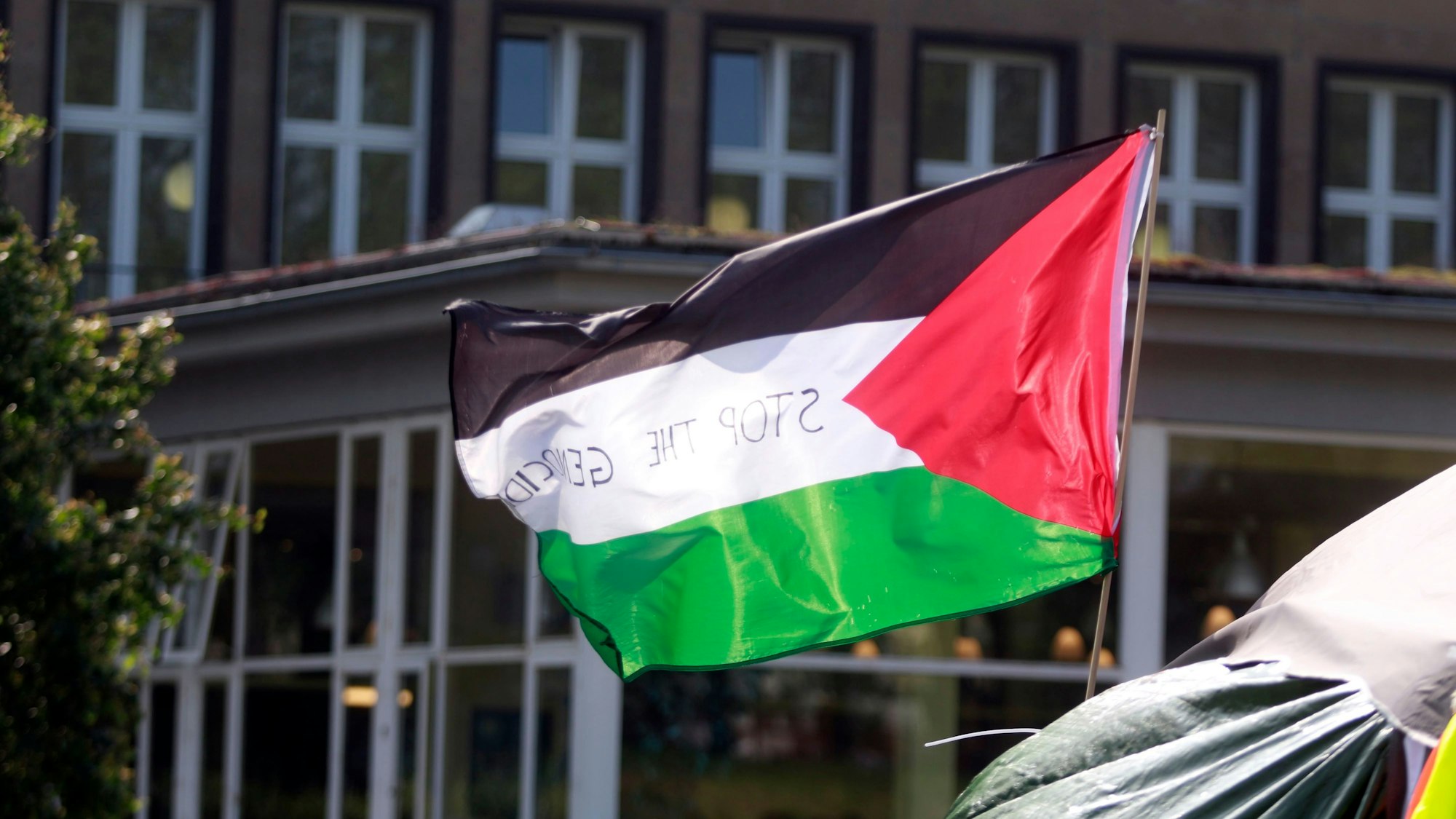 Eine Palästina-Flagge weht auf der Uniwiese im Wind, im Hintergrund ist das Hauptgebäude der Uni Köln zu sehen.