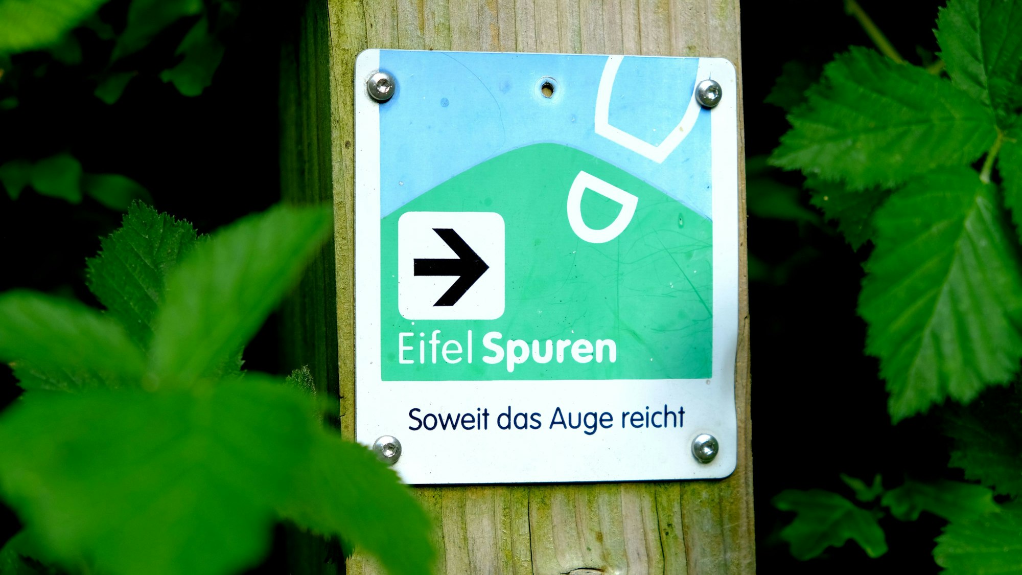 Wegmarkierung der Eifelspur „Soweit das Auge reicht“.