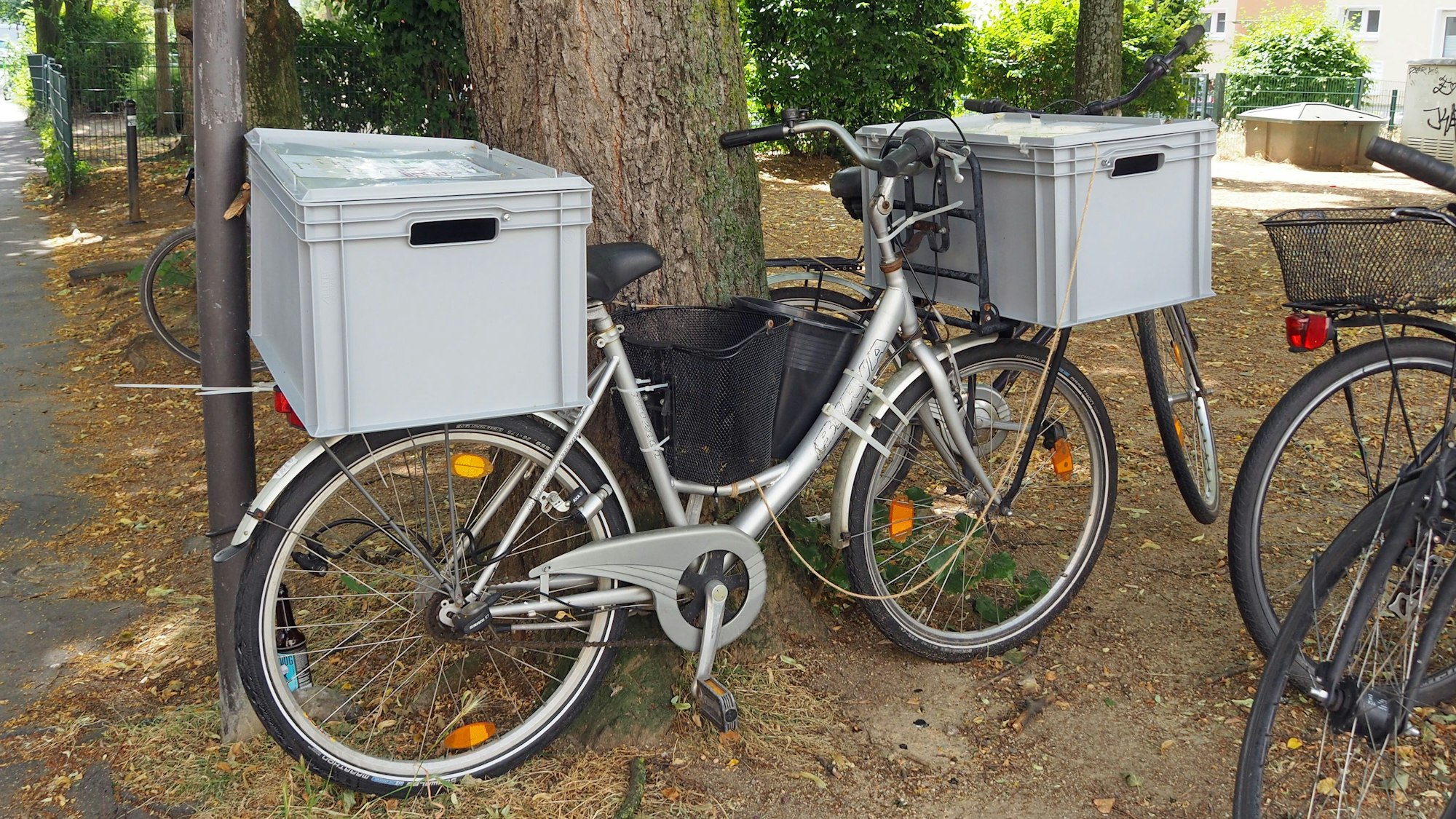 Fairteiler von foodsharing