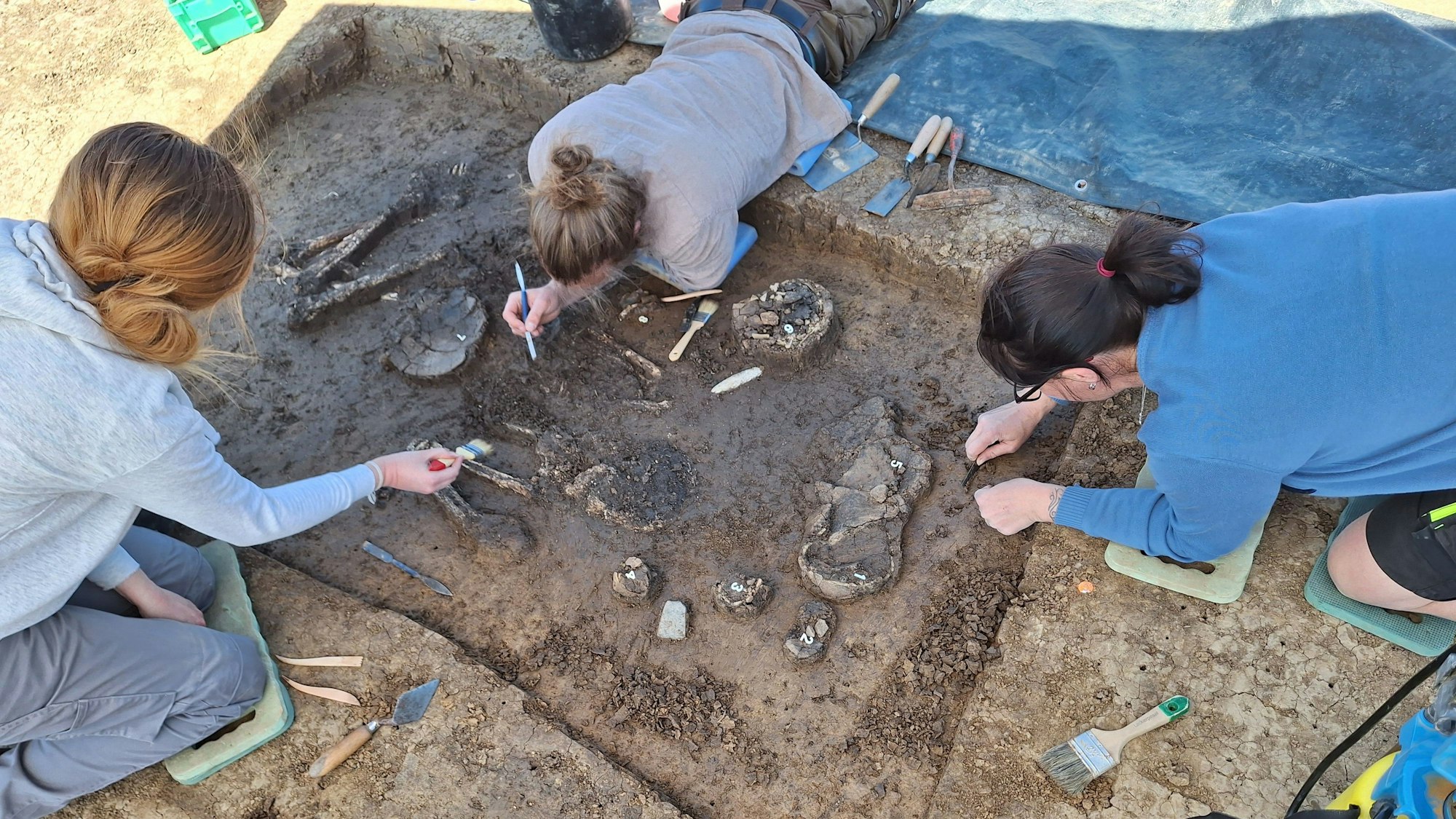 Ein 6800 Jahre altes Skelett ist in Exing in Niederbayern entdeckt worden.
