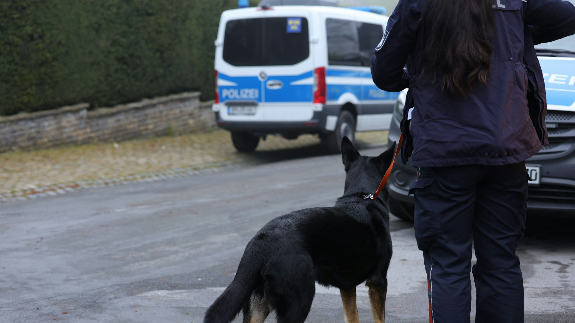 Polizeibeamter mit Hund steht in der Nähe eines Gebäudes (Symbolbild). In Duisburg gab es eine Razzia gegen Hamas-Unterstützergruppen.