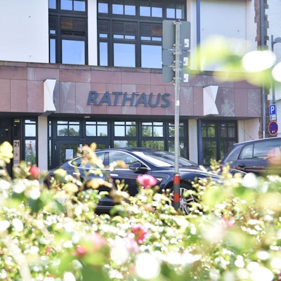 Das Bild zeigt den Eingang des Zülpicher Rathauses im Frühsommer.