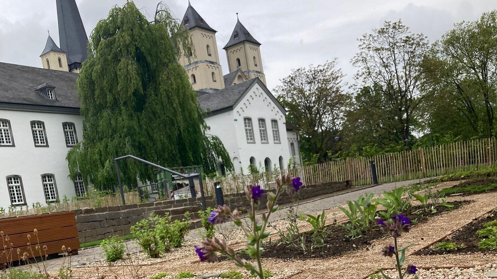 Im Vordergrund ist der frisch angelegt Klostergarten zu nennen, im Hintergrund die Kirche St. Nikolaus in Brauweiler und ein Wirtschaftsgebäude.