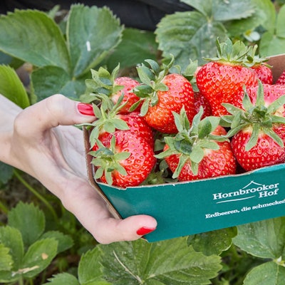 Eine Hand hält eine Schale mit Erdbeeren.