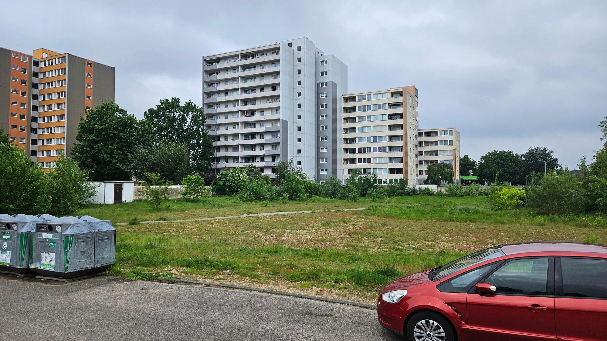 Auf dieser freien Fläche an der Albrecht-Dürer-Allee in Bergheim soll eine Grundschule gebaut werden.