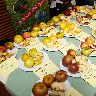Auf einem Tisch stehen zahlreiche Teller mit Äpfeln. Auf Schildern davor steht jeweils, um welche Sorte es sich handelt.