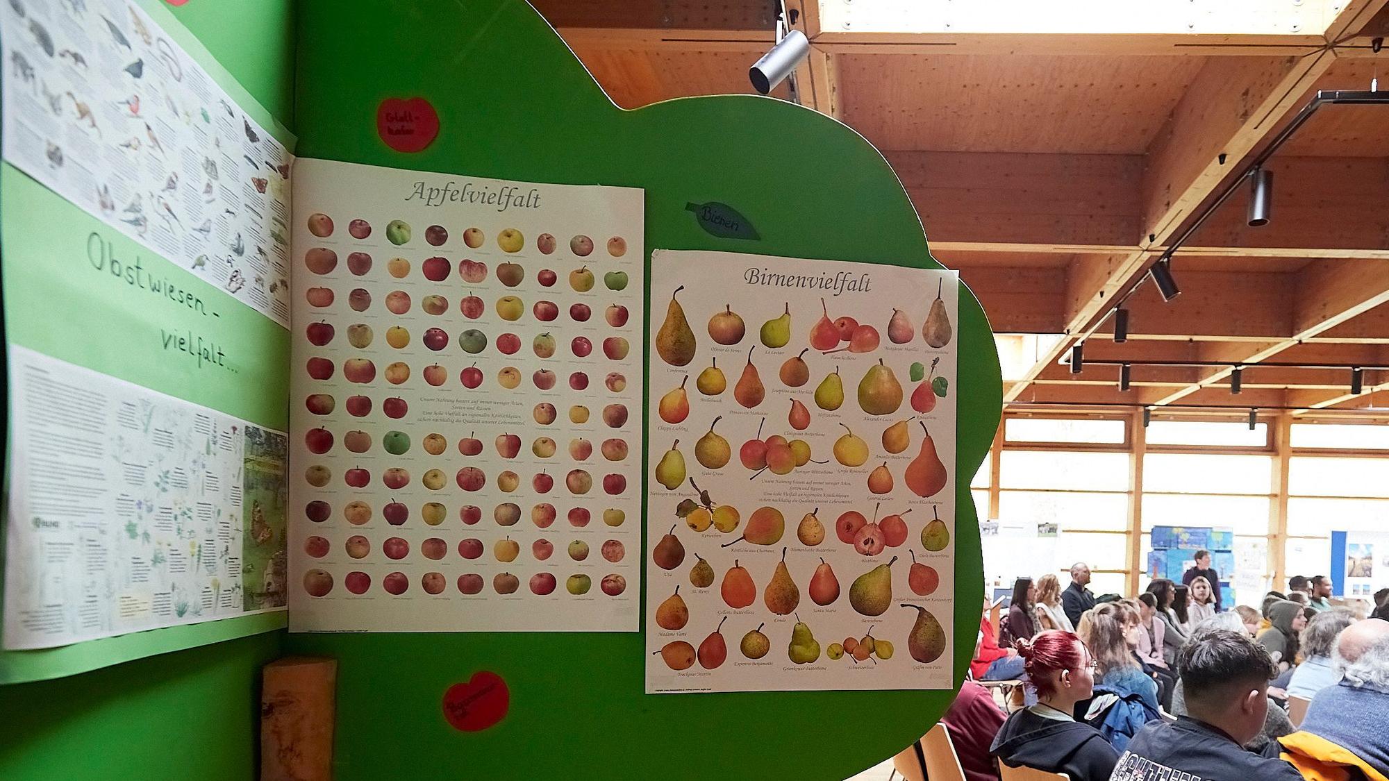 Auf einem grünen Hintergrund sind einige Schaubilder zum Thema Streuobst, die Schüler aus Schleiden erstellt haben. Rechts sind in einem Saal zahlreiche Menschen zu erkennen.