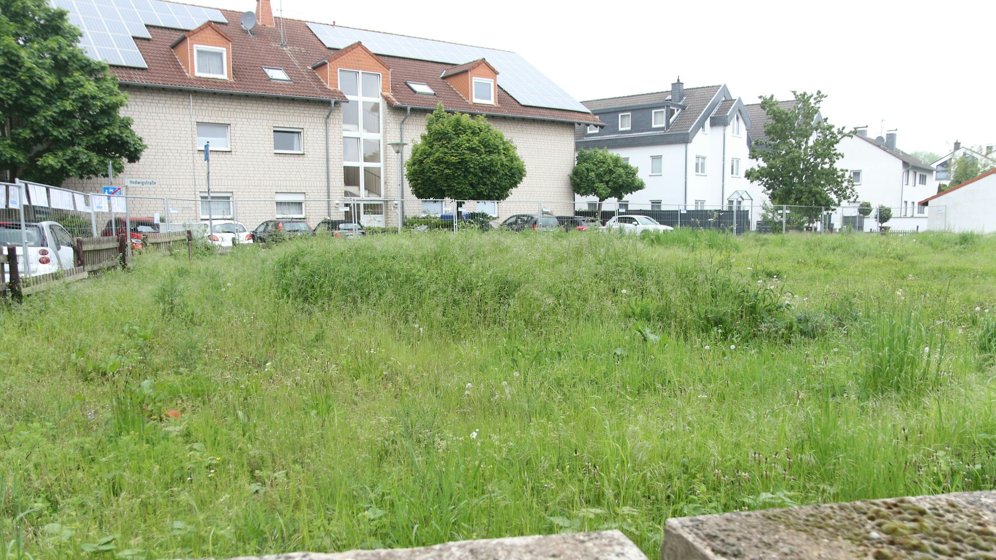 Eine Wiese, im Hintergrund Wohnhäuser.