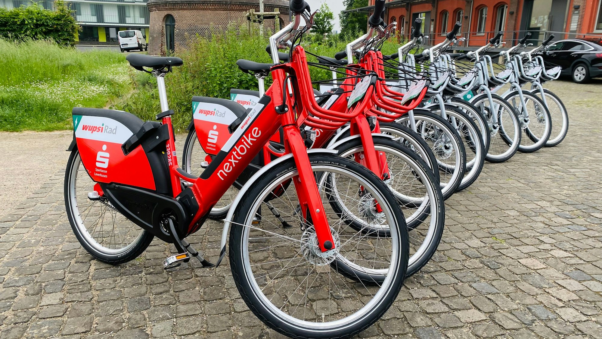 Rote E-Bikes mit Next-Bike-Aufdruck stehen in einer Reihe.