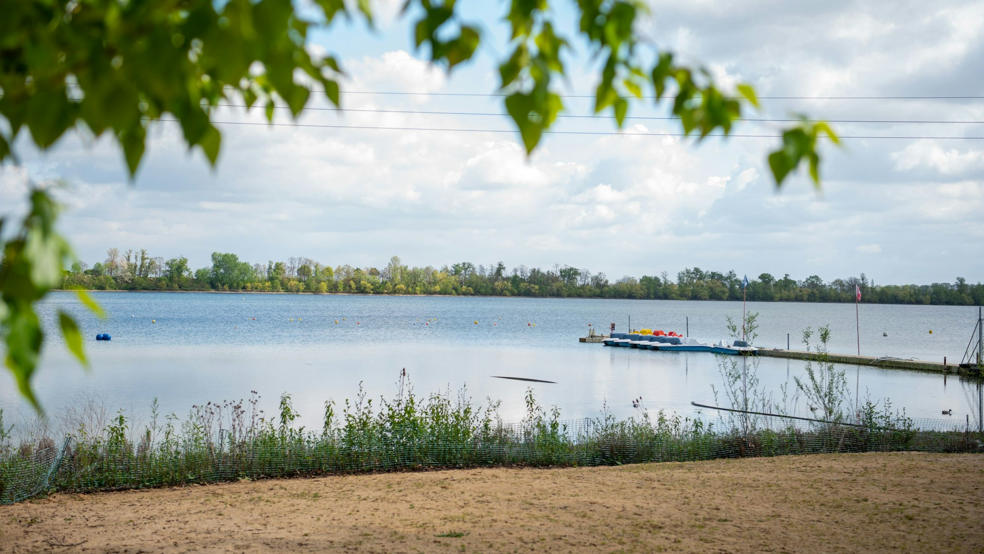 Blick auf den Zülpicher See