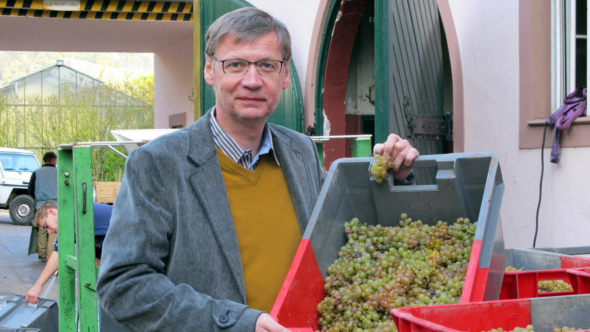 Günther Jauch hält auf seinem Weingut in Kanzem (Landkreis Trier-Saarburg) eine Bütte mit Weintrauben.