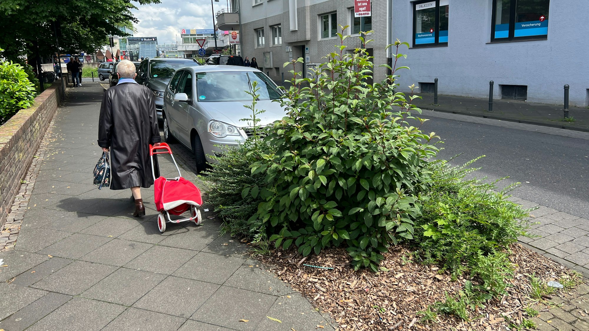Ehemaliger Standort eines Straßenbaums in Wiesdorf