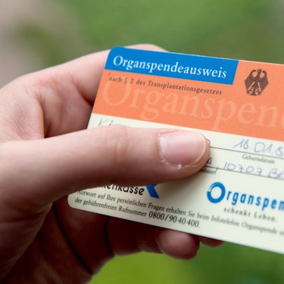 Eine Person hält einen Organspendeausweis in der Hand