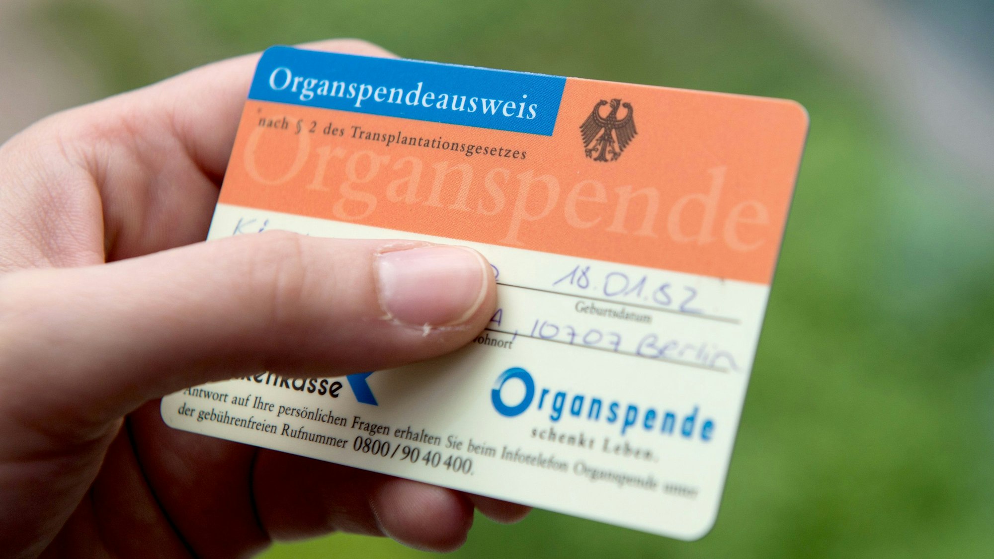 Eine Person hält einen Organspendeausweis in der Hand