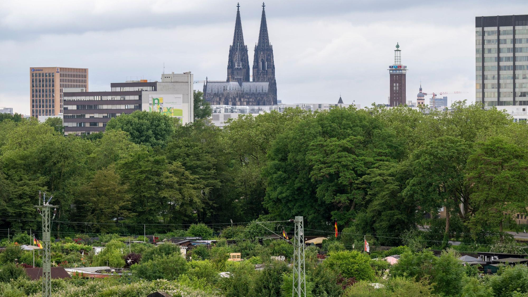 Blick auf die Kleingärten in Buchforst. Der als Kalkberg bekannte Abraumhügel ist ein Sanierungsfall. Foto: Uwe Weiser