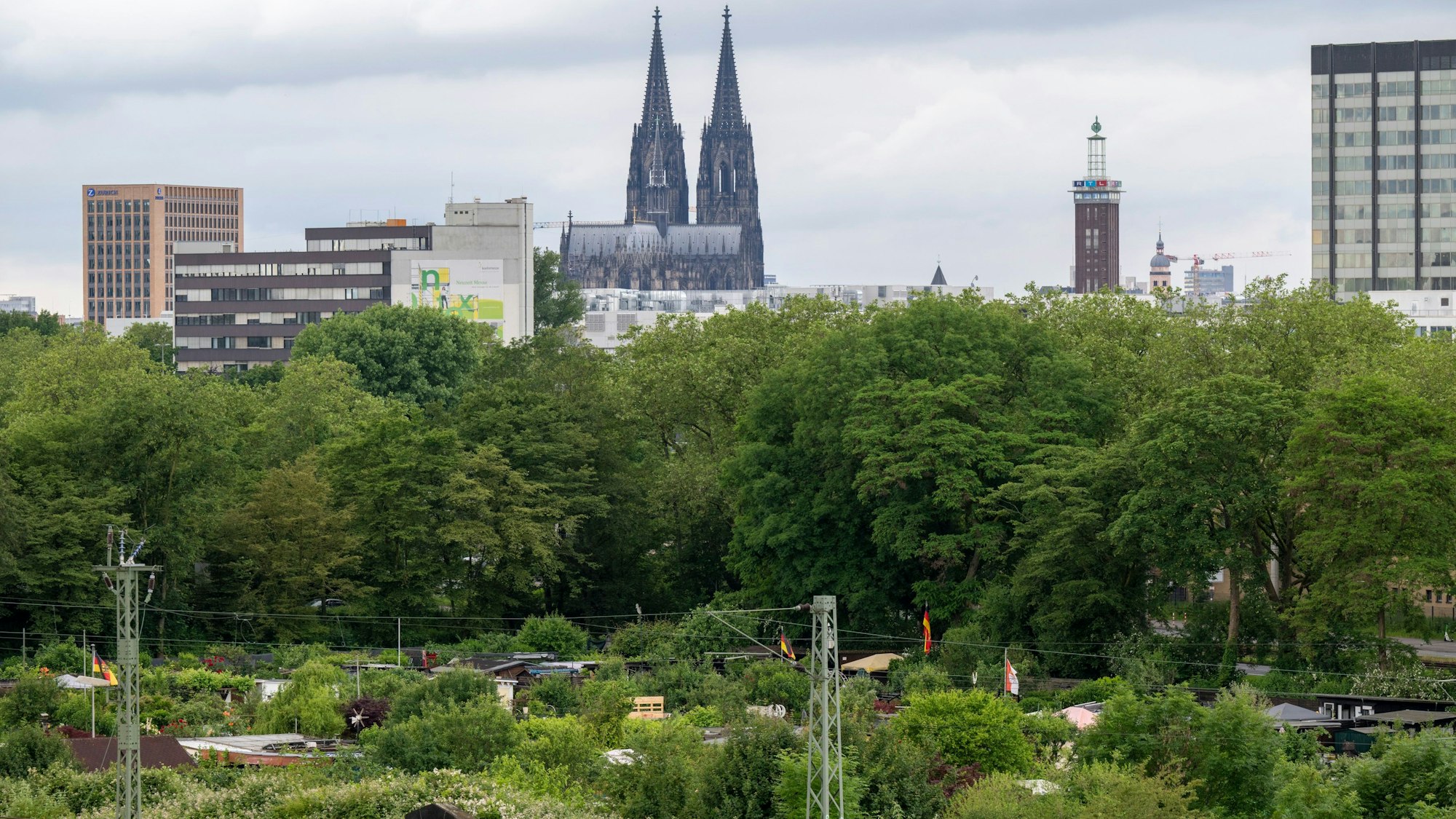 Blick auf die Kleingärten in Köln-Buchforst