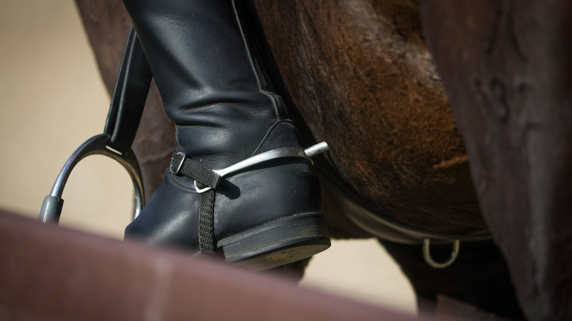 Der Unfall ereignete sich während der „International Horse Trials“ in der Grafschaft Devon.