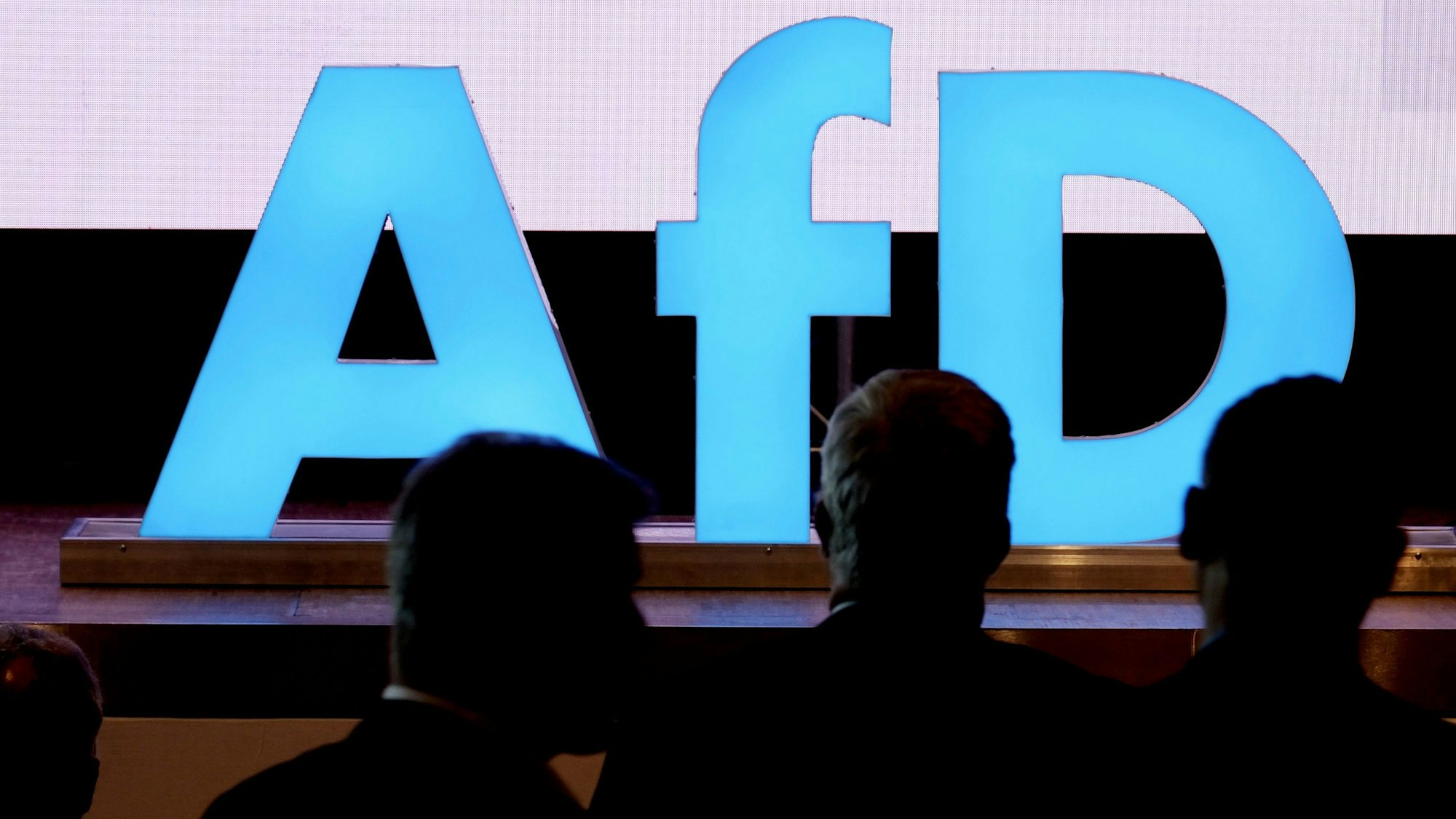 Die AfD konnte bei den Landratswahlen in Thüringen Erfolge erzielen.