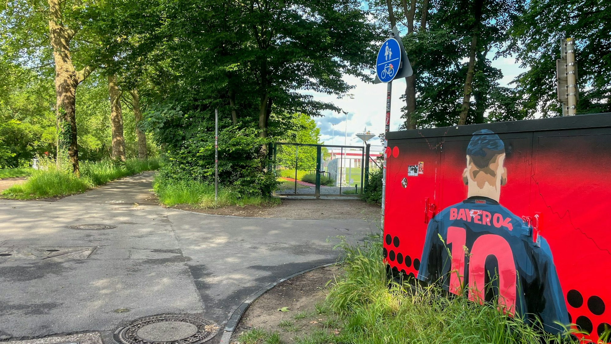 Florian Wirtz ziert diesen Stromkasten auf dem Weg von der Innenstadt ins Stadion.