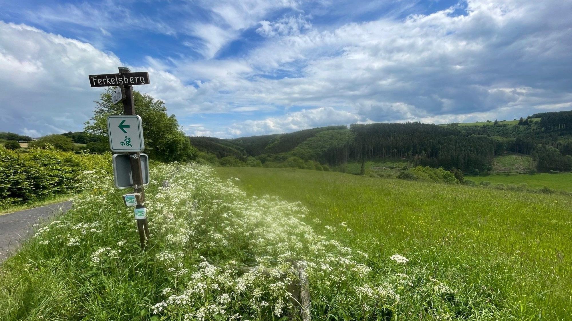 Neben einer schmalen Straße am linken Bildrand steht ein Schild mit der Aufschrift „Ferkelsberg“. Auf der großen Wiese rechts daneben soll eine Freiflächen-Photovoltaik-Anlage entstehen.