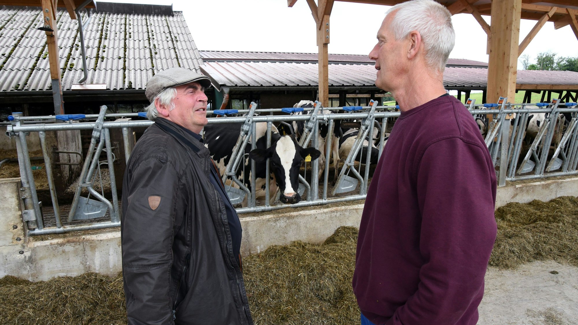 Das Foto zeigt Martin Häusling, agrarpolitischer Sprecher der grünen Europafraktion, und Biobauer Wolfgang Kern, dahinter stehen einige Kühe.