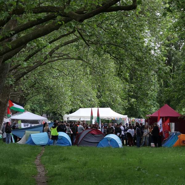 Zelte stehen zusammen auf einer Wiese, links ist eine Fahne von Palästina zu sehen.