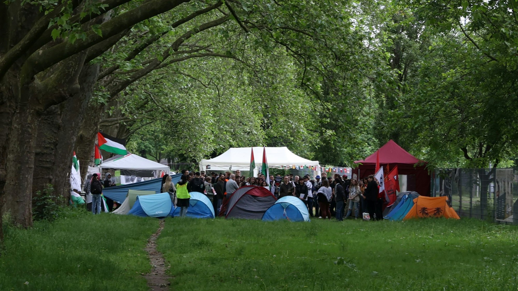 Zelte stehen zusammen auf einer Wiese, links ist eine Fahne von Palästina zu sehen.