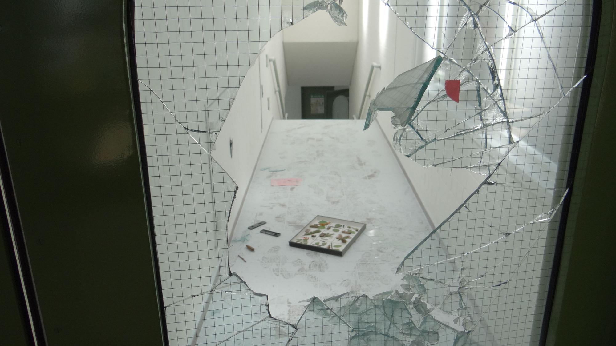 Eine zerschlagene Glastür und ein verwüsteter Gang zeigen das Ausmaß von Vandalismus in einer Schule.