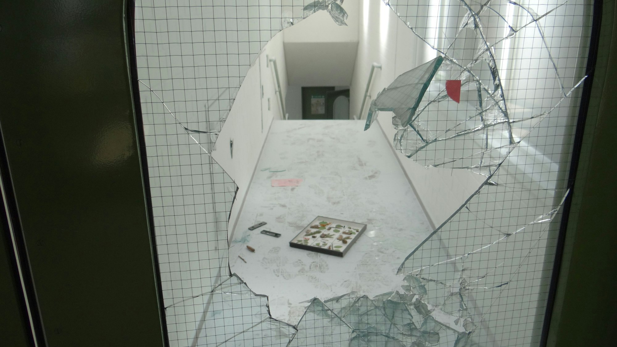 Eine zerschlagene Glastür und ein verwüsteter Gang zeigen das Ausmaß von Vandalismus in einer Schule.