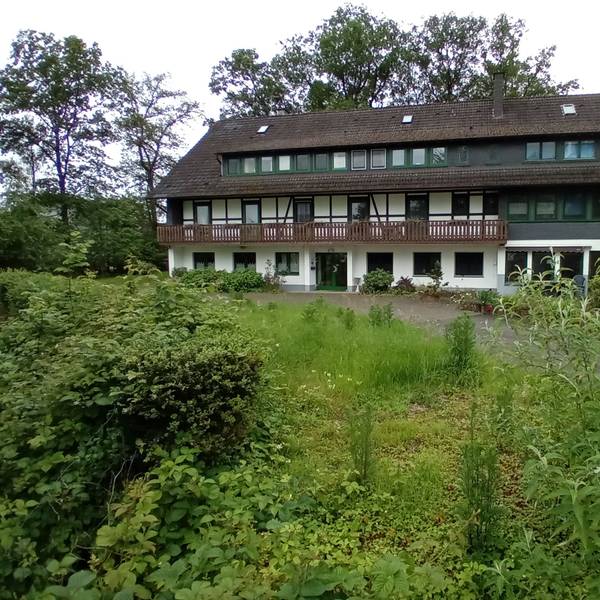 Ein dreigeschossiges Haus in einem verwilderten Garten.