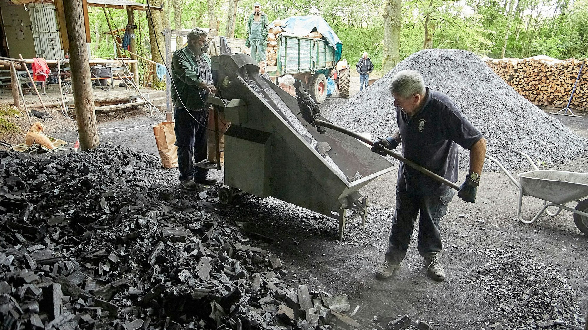 Zwei Männer stehen an einem Haufen Holzkohle, die im Meiler in Düttling gewonnen wurde. Einer schaufelt die Stücke auf ein Förderband. An dessen Ende steht der zweite, der die Verpackung übernimmt.