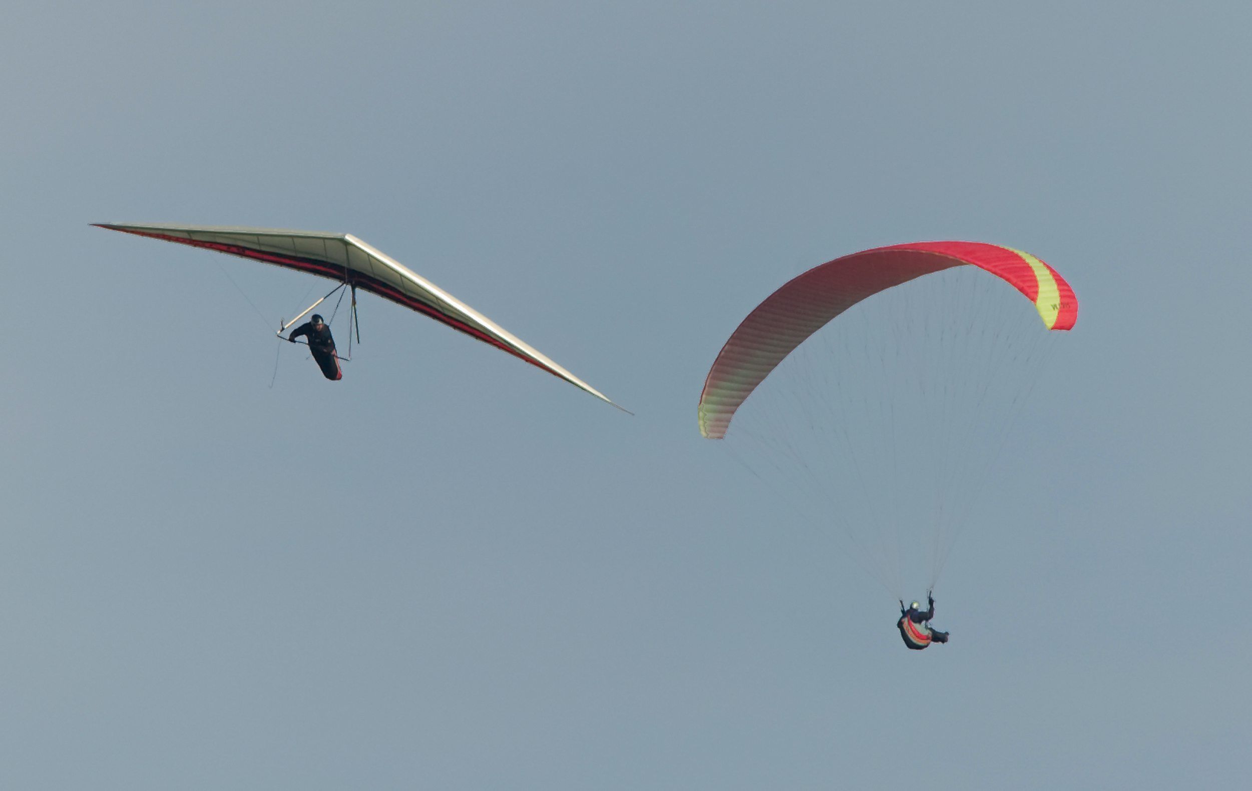 Gleitschirm- und Drachenflieger kreisen bei Heidelberg am Himmel.