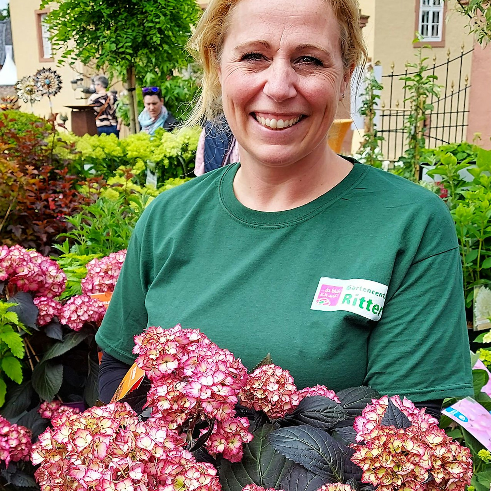 Gärtnermeisterin Miriam Ritter hält eine rosa-weiß blühende Pflanze der Hortensien-Sorte „Eclipse“ in der Hand.