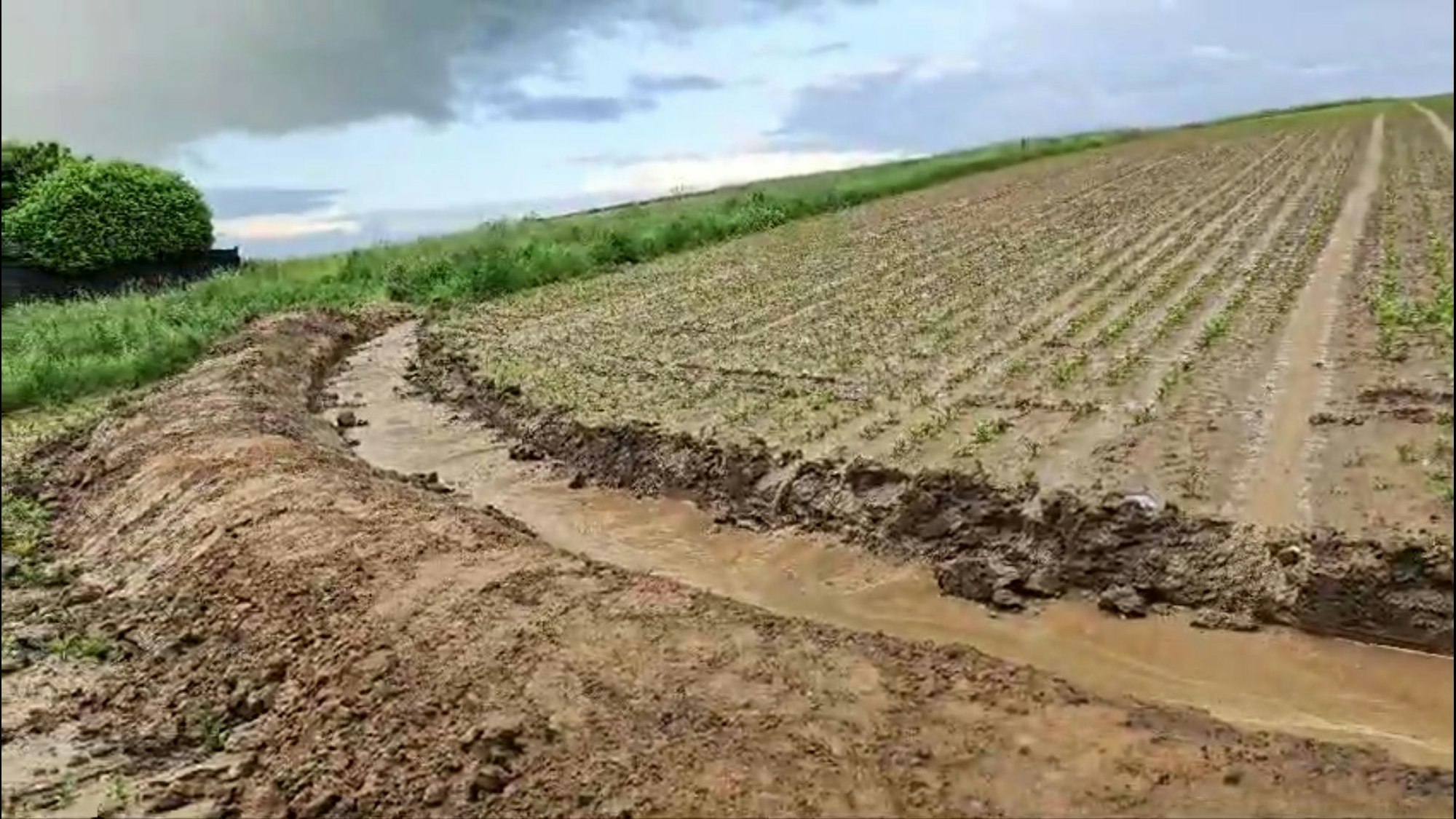 Ein Graben schützt nun die Bewohner in Büsdorf vor weiteren Überschwemmungen. Das Wasser strömt bei Regen vom Acker direkt in die Rinne.