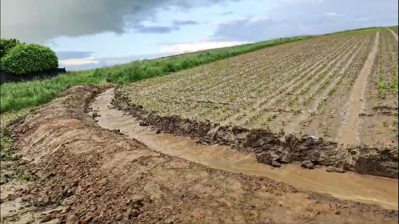 Ein Graben schützt nun die Bewohner in Büsdorf vor weiteren Überschwemmungen. Das Wasser strömt bei Regen vom Acker direkt in die Rinne.