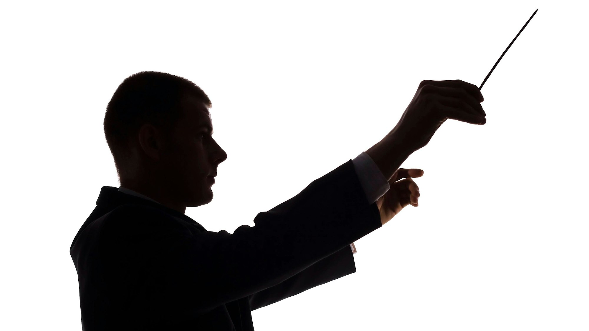 Die Silhouette eines Dirigenten vor weißem Hintergrund.