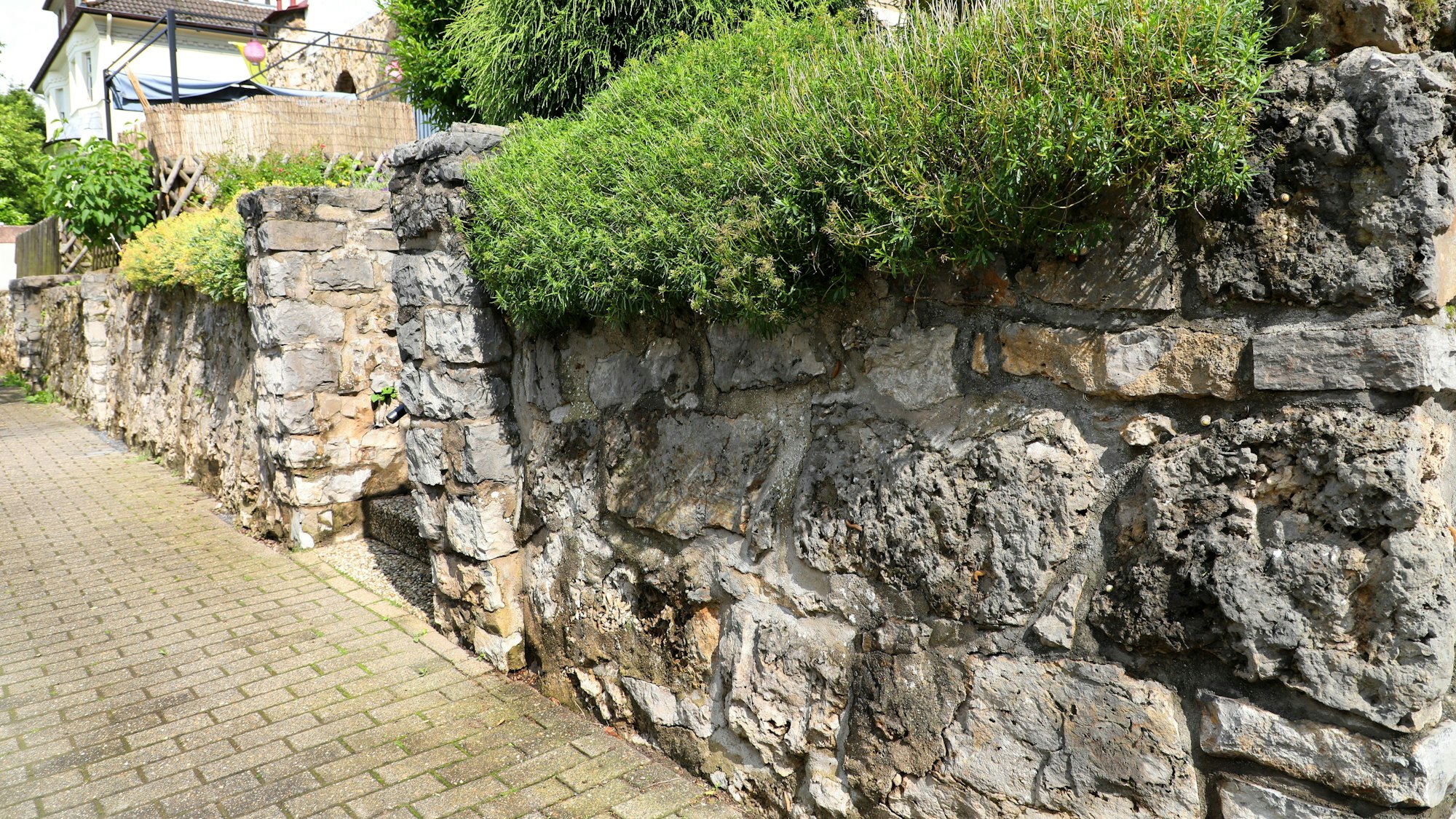 Kalksteinmauern an der Straße „Am Mühlenberg“ in Bergisch Gladbach.