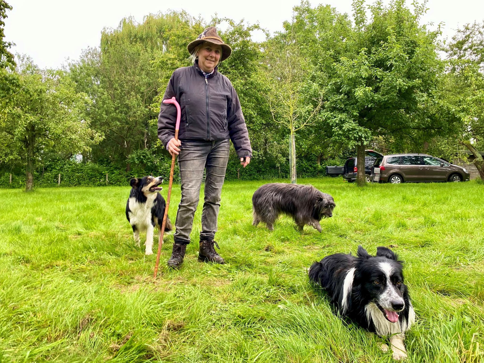 Sandra Schulten trägt Hut und einen Hirtenstab und steht mit ihren Hunden auf der Wiese.