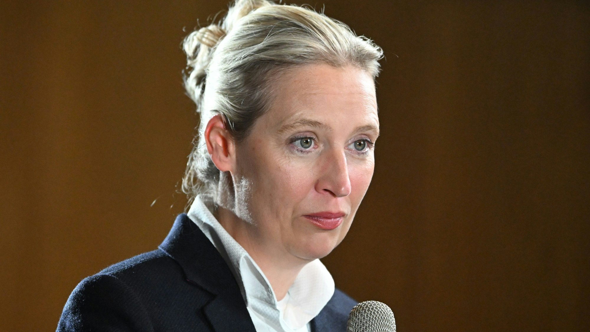 Die AfD-Parteichefin Alice Weidel bei einer Rede in Baden-Württemberg. (Archivbild)