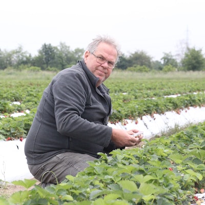 Karl-Josef Engels in seinem Erdbeer-Feld in Kriegsdorf.