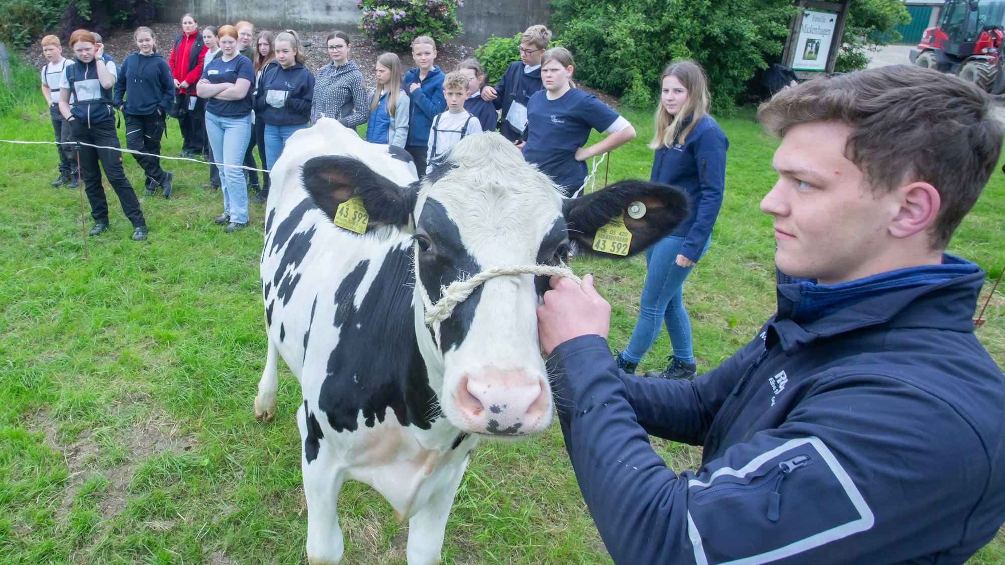 Während eines Camps stehen Kinder und Jugendliche auf einer Wiese nahe einer Kuh, die von einem jungen Mann an einem Strick festgehalten wird.