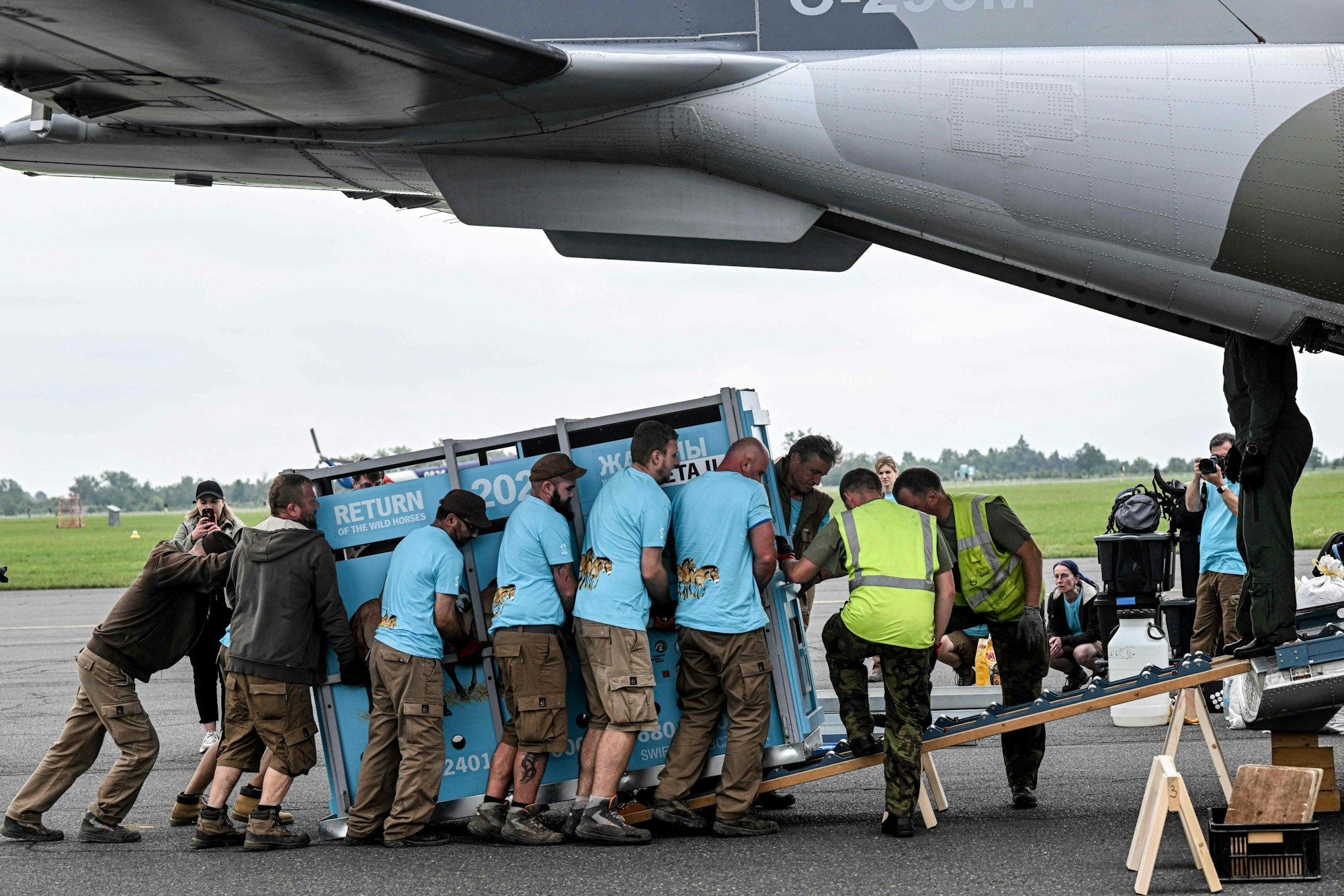 Zoo-Motarbeiter laden in Prag den Container mit einem der Wildpferde ins Flugzeug.