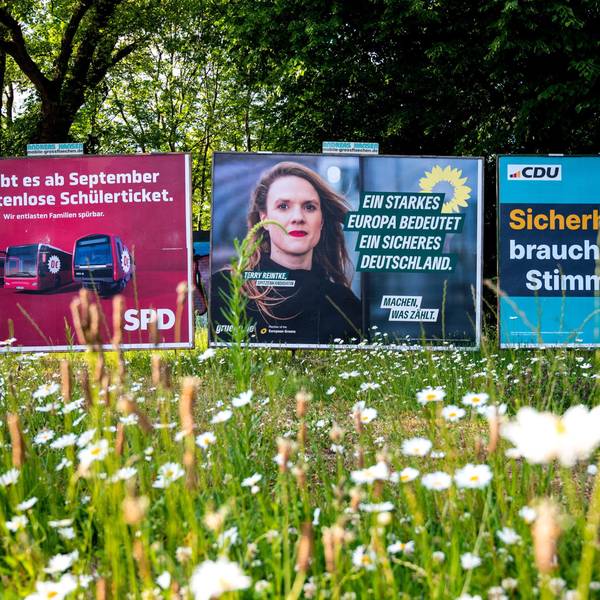 Wahlplakate auf einer Wiese.