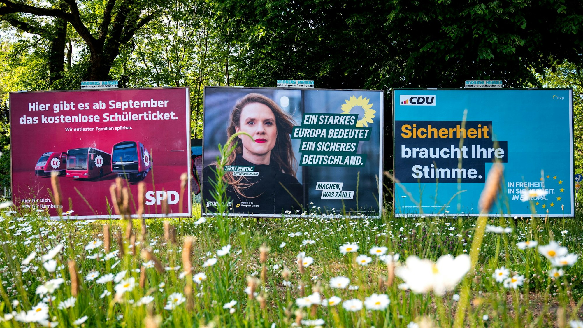 Wahlplakate auf einer Wiese.