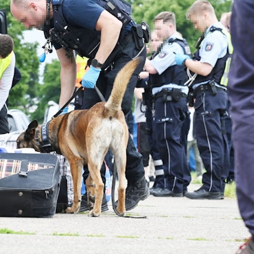 05.06.2024 Köln. Zoll und Polizei ziehen Drogenschmuggler aus dem Verkehr - mit Spürhunden und einer mobilen Lkw-Röntgenanlage. Foto: Alexander Schwaiger