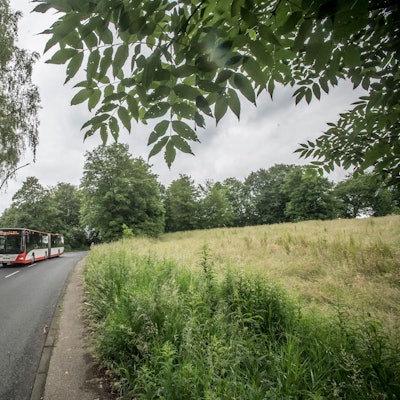 Auf dem Feld Bohofsweg Ecke An der Wasserkuhl will die Stadtverwaltung jetzt eine Kindertagesstätte bauen. Foto: Ralf Krieger