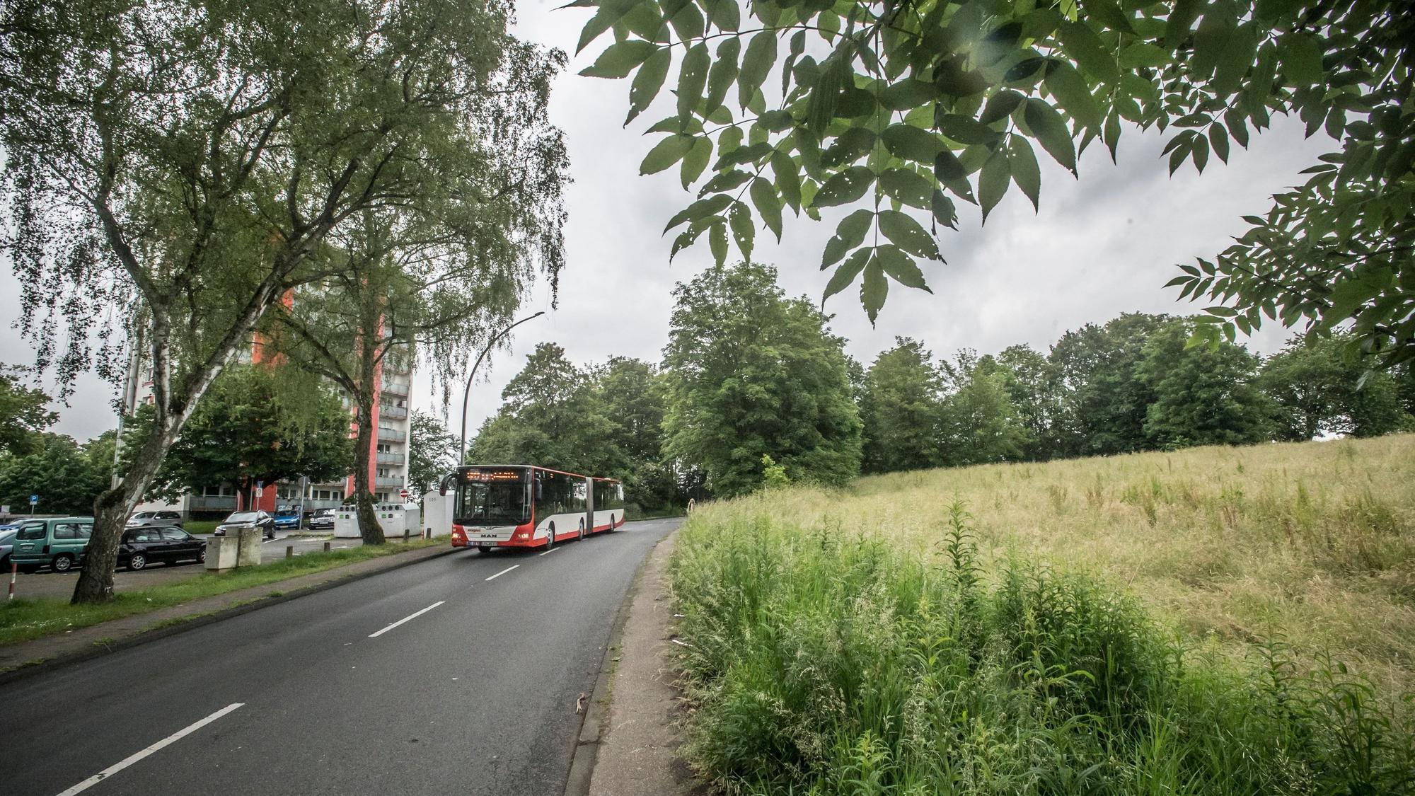 Auf dem Feld Bohofsweg Ecke An der Wasserkuhl will die Stadtverwaltung jetzt eine Kindertagesstätte bauen.